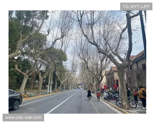 2024年最全ag厅k8登录线路大全，保障您的游戏安全与顺畅体验